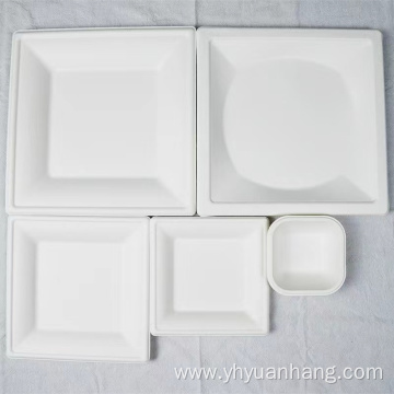 eco friendly disposable plates